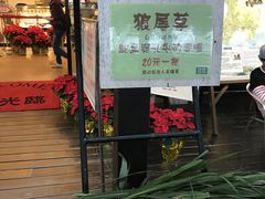 -瑞穗牧场