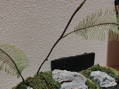 -水之惠鲜鱼料理(王府大街店)