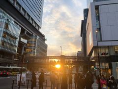 -蟹道乐(道顿堀本店)