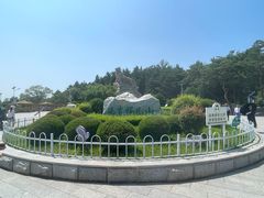 -帽儿山国家森林公园