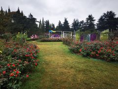 -花溪公园