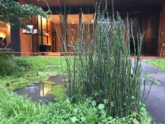 -微热山丘(台北民生公园门市店)