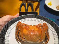 -老吉堂上海本帮菜(工体店)