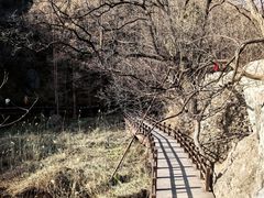 -国家植物园南园