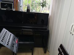-迷音音乐国际艺术中心(三林店)