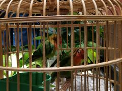 -老湘亲·品鉴湘菜(蔡塘爱琴海店)