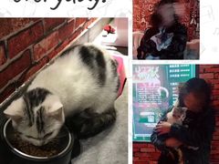 -AOE 火焰 剧本密室狼人杀