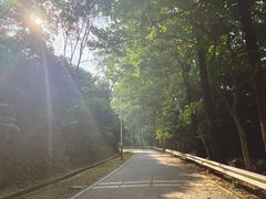 -风云岭森林公园