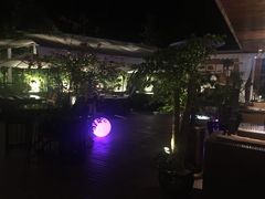 -铂米星座(瑞安店)