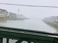 -芦潮港集贸市场
