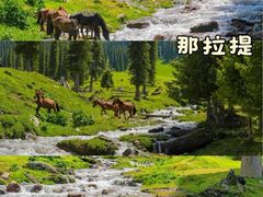 -赛里木湖风景名胜区