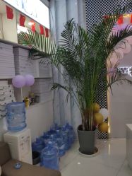 -痘敏医生专业祛痘·肌肤修复连锁