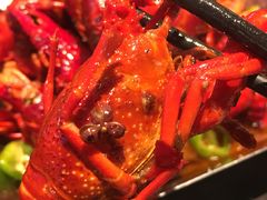 -阿财老铺·老蚌埠龙虾城(华夏总店)