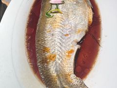 -醉庐·新上海菜(南京西路店)