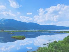 -腾冲北海湿地