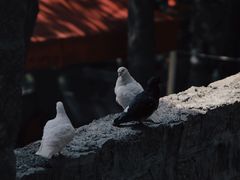 -峄山风景名胜区