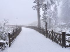-瓦屋山景区
