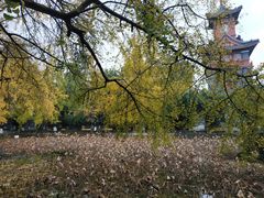 -四川大学(华西校区)