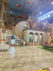 -卡通尼·Safari非洲探索乐园·生日会(金桥国际商业广场店)