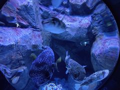 -成都浩海立方海洋公园