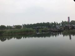 -太湖湖滨国家湿地公园-停车场