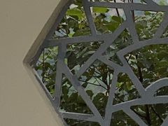 -渭南桃花源民俗文化园