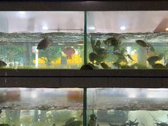 -金生美食(贵州路店)