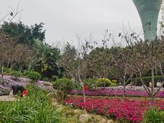 -狐尾山公园