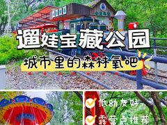 -上海共青森林公园