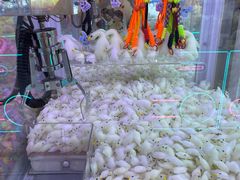 -汤姆熊欢乐世界(滨江店)
