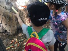 -长白岛森林公园