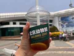 -北京海洋馆