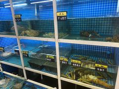 -金龙·打边炉(南京西路店)