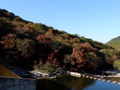 -龙道沟景区