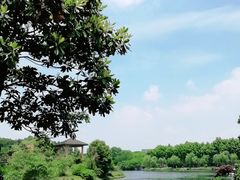 -宜兴龙背山森林公园