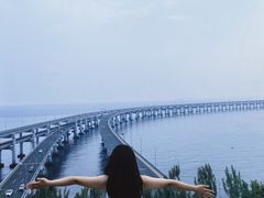 -星海湾跨海大桥