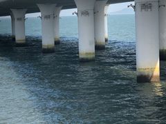 -演武大桥观景平台