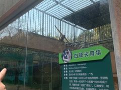 -宁波野生动物园