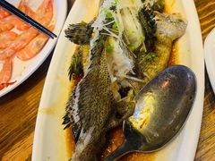 清蒸老虎斑-南海渔家•海鲜•正宗海南菜(海棠湾店)
