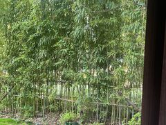 -虹之森·小馆