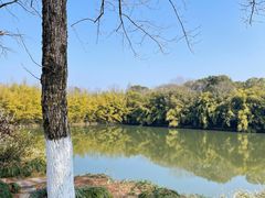 -西溪国家湿地公园