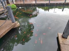 -长阳创谷