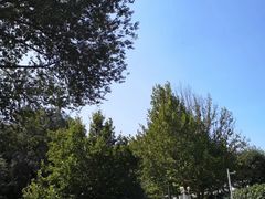 -北京张裕爱斐堡酒庄