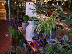 -查特花园美食广场(西单大悦城店)