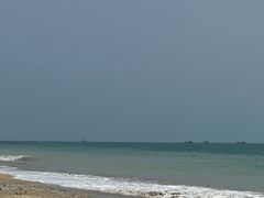 -东郊椰林