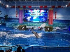 -多彩贵州城极地海洋世界