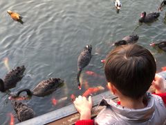 -泉州海丝野生动物世界