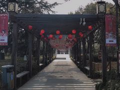 -白马涧龙池景区