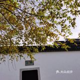 苏大强的热度终于褪去了… 还是喜欢这样的平江路…