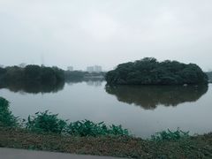 -海珠湖公园